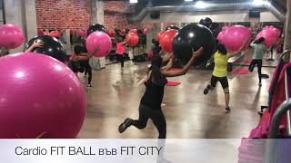 Cardio Fit Ball