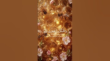 #quran #قران_كريم #قرآن #راحة_نفسية #ﷺ #لايك #اكسبلور #تلاوة_خاشعة #عبدالرحمن_مسعد #قصص #قران
