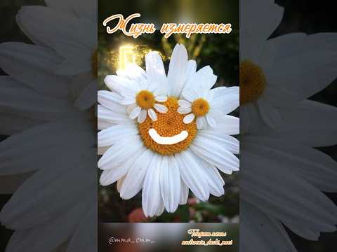 #доброеутро #музыкальнаяоткрытка #длявасдрузья #видеоролики #открытка #доброеутрооткрытки #любовь