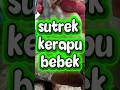 kerapu bebek