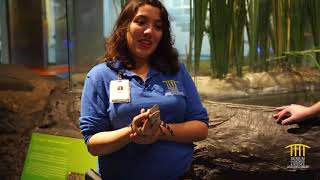 Virtual Children's Day 2021: Field Trip to the Museum of Discovery and Science