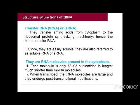 Video: Väikeste RNA-de Ligeerimise Diagonaali Vähendamine Raamatukogudes Järgmise Põlvkonna Sekveneerimiseks