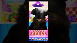 Talking baby cat screenshot 5