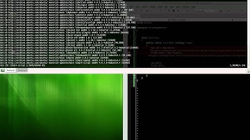 My Linux .NET development platform