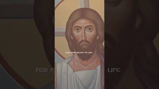Orthodox Easter ✨️ 🕊 Christ is risen!