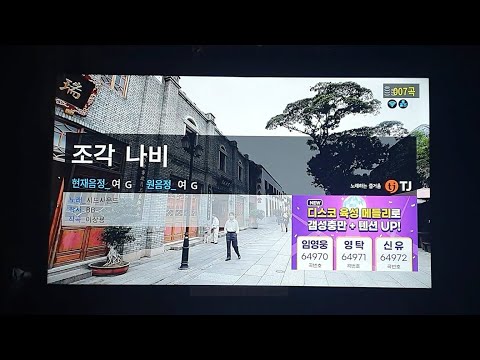 조각 나비/시드사운드 노래방 cover