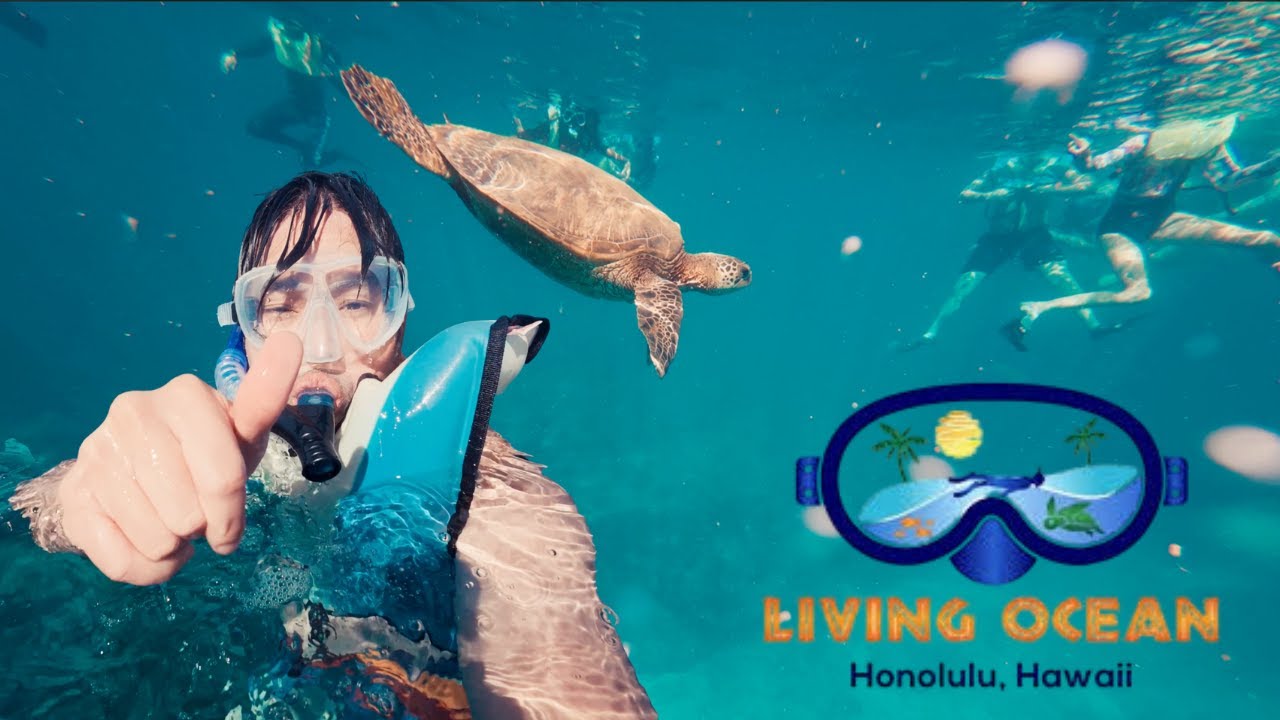 The Best Ocean Adventure In Hawaii