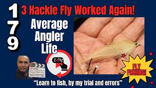 Reading the Line for Bass — Finesse Fly Fishing Bethany Lakes with a 3‑Weight