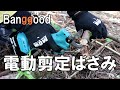 Banggood｜マキタ18vバッテリーが使える電動剪定ばさみ｜こんな道具があったんだ！