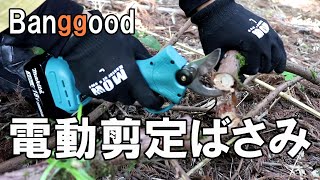 Banggood｜マキタ18vバッテリーが使える電動剪定ばさみ｜こんな道具があったんだ！