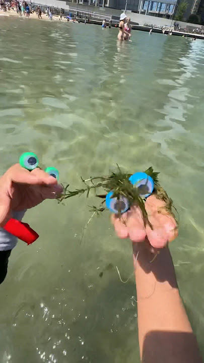 SEA MONSTER!