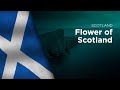 Anthem of scotland  flower of scotland  fhlir na halba