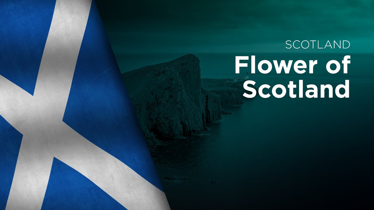 Anthem of Scotland Flower of Scotland Fhlùir na hAlba YouTube