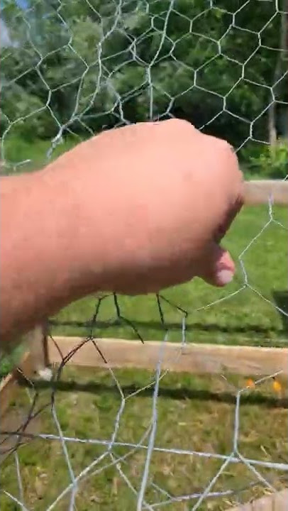 How to Open Chicken Wire Roll 