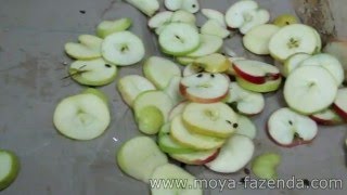Измельчитель Яблок На Сушку