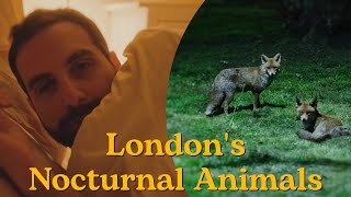 London’s Nocturnal Animals | Making Friends 03