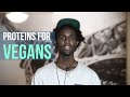 What Do Vegans Eat for Proteins?