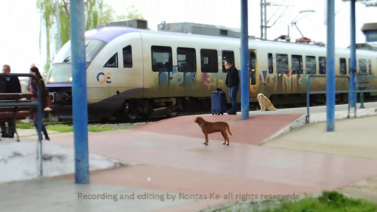 Σταθμός ΠΛΑΤΥ - ΟΣΕ Διελεύσεις τραίνων / Railway action at Platy r.r. station