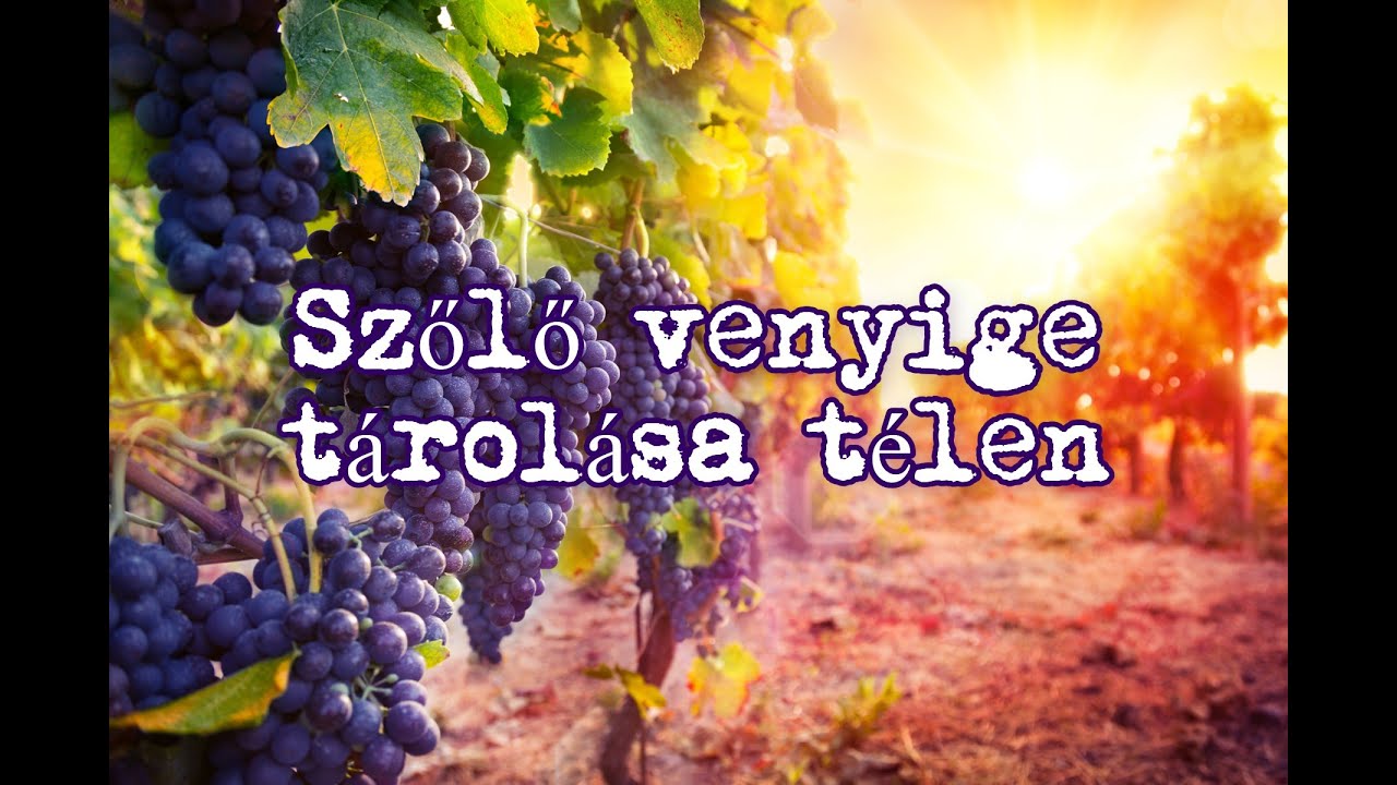 Isten hozott vidéken - Ukrán csemegeszőlő venyige tárolása télen - 1. rész