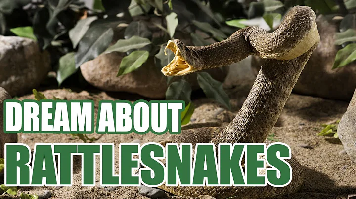Dreaming About Rattlesnakes – What They Mean & Their Significance - Sign Meaning