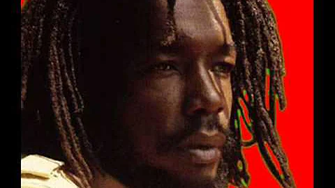 Peter Tosh - You Can't Fool Me Again Version