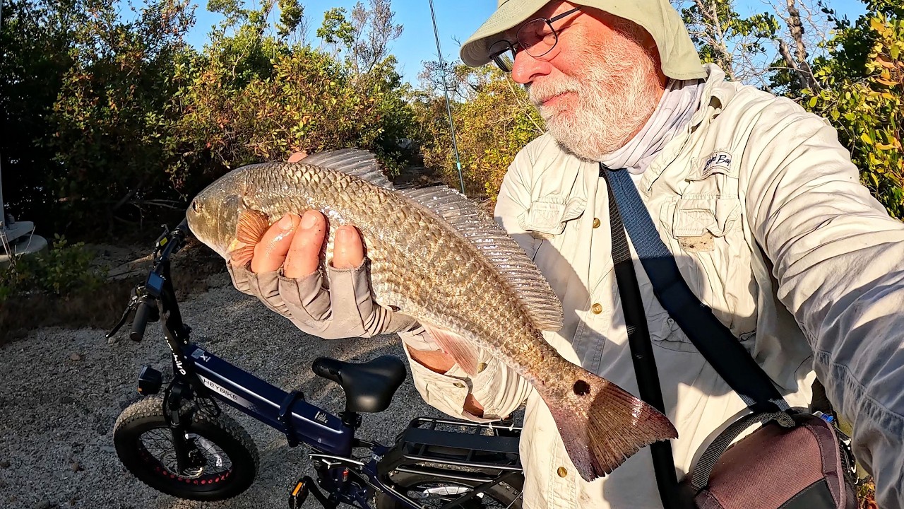 Florida Shore Fishing - Redfish, Tarpon, Snook on New Heybike E-bike!
