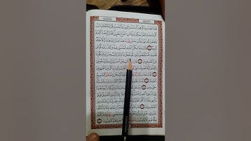 سورة يوسف من آية (٣١) حتى الآية (٣٧)