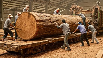 Giant Wood Processing Factory Processes Hundreds Year Old Trees...The Real Sawmill Process
