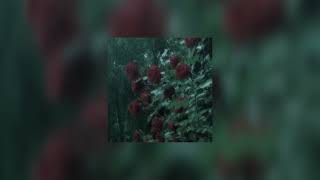 Stray Kids, Lisa Social Path Speed Up