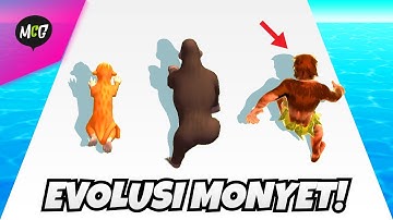 Monkey Evolution! - Hyper Evolution
