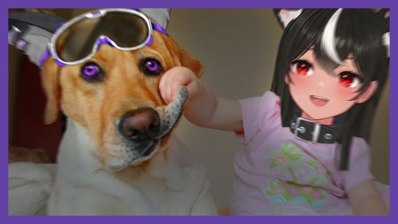 [독케익] 롤 불구자 안내견 달콤레나