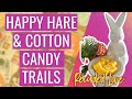 March 2024 scentsy warmer  scent of the month  happy hare  cotton candy trails unboxing