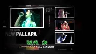 NEW PALLAPA LAWAS - NARAPIDANA (CIPT. RHOMA IRAMA) VOC. BAMBANG MC - LIVE KOLOR IJO 2015