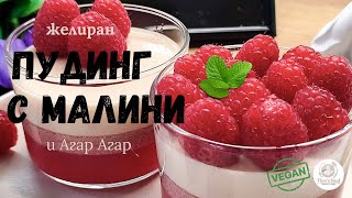 видео: Желиран Пудинг с Малини и Агар Агар | Лесен и Вкусен Десерт без Желатин 🍮🍓 картинка: Желиран Пудинг с Малини и Агар Агар | Лесен и Вкусен Десерт без Желатин 🍮🍓