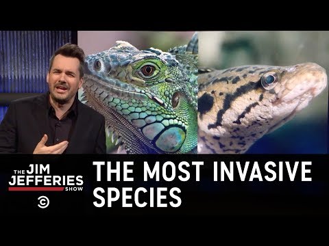 The Most Invasive Species of All - The Jim Jefferies Show