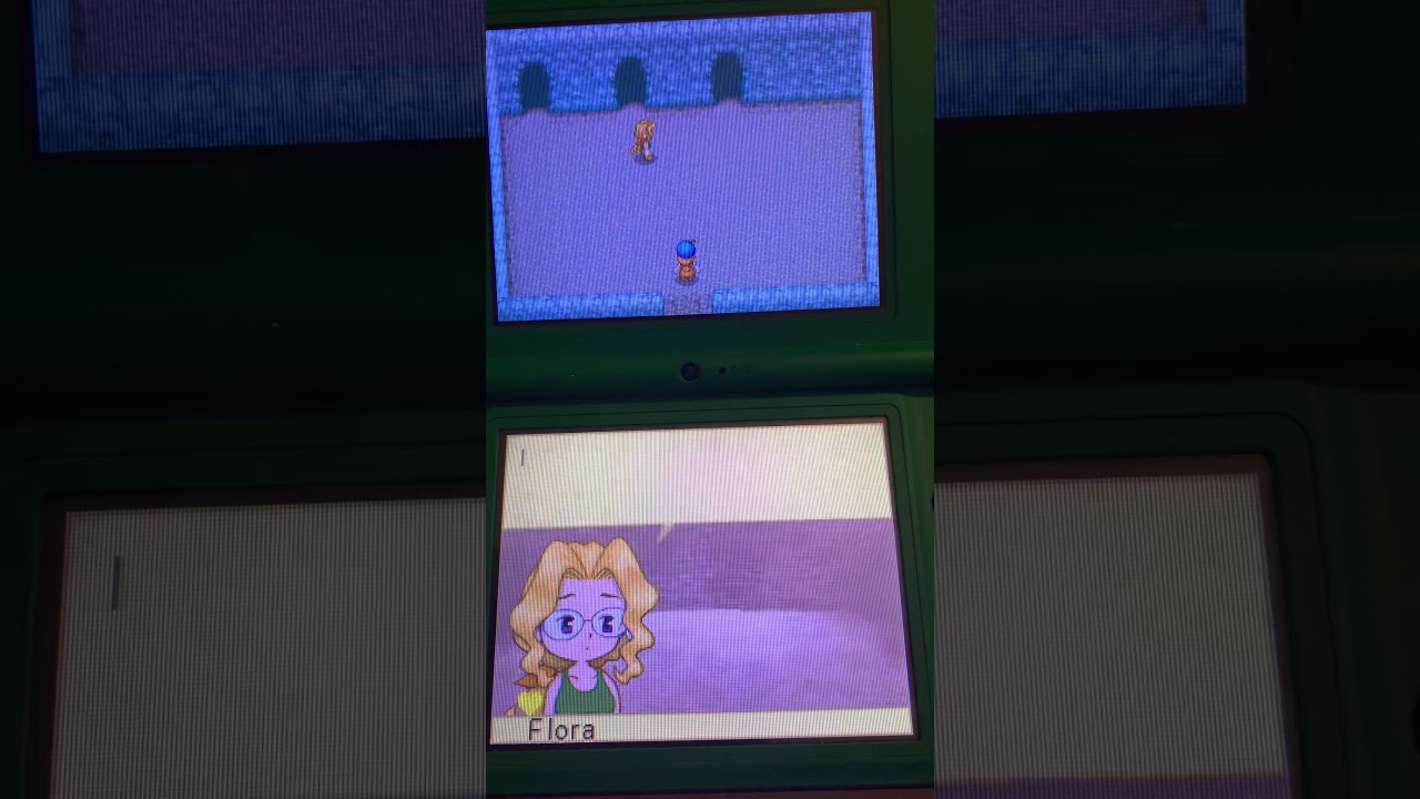 Harvest Moon Ds Heart Colors