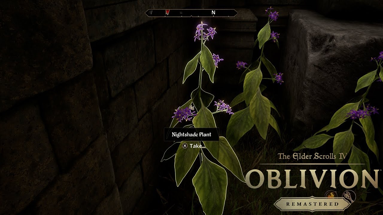 Where To Find Nightshade Oblivion