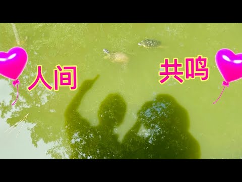 YouTube Music