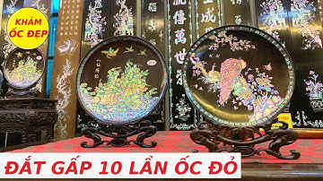 Dòng Ốc ĐẮT Gấp 10 Lần Ốc Đỏ Dành Cho Các Bác Chơi Đồ Gỗ Khảm Ốc Đỉnh Cao | Khảm Ốc Đẹp
