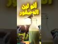 حقيقة لبن العصفور