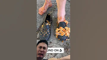 One Two Buckle My Shoe 