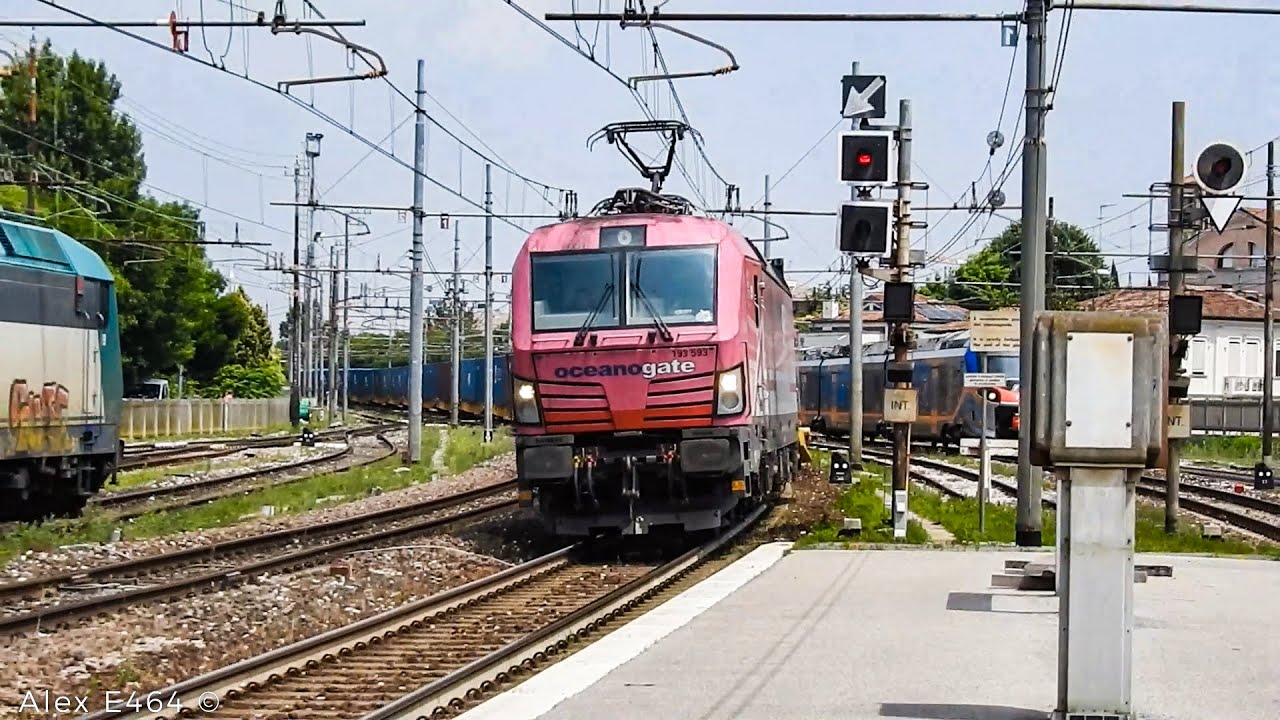 MILLE MERCI D'UN POMERIGGIO D'ESTATE A TREVISO CENTRALE