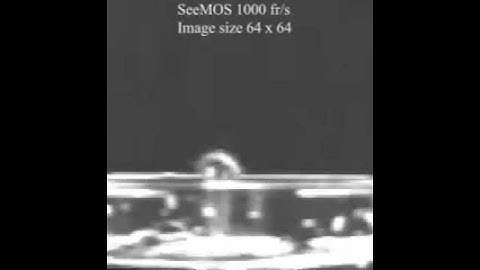 High-speed imaging with SeeMOS