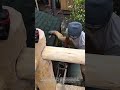 Chainsaw Woodcraft Magic