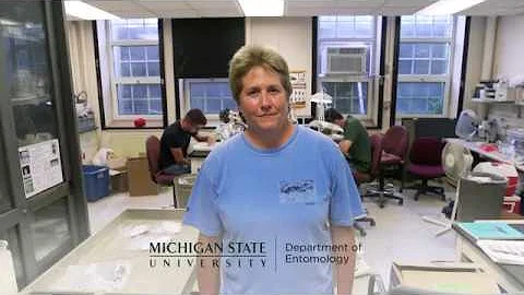 MSU Entomology Deb McCullough