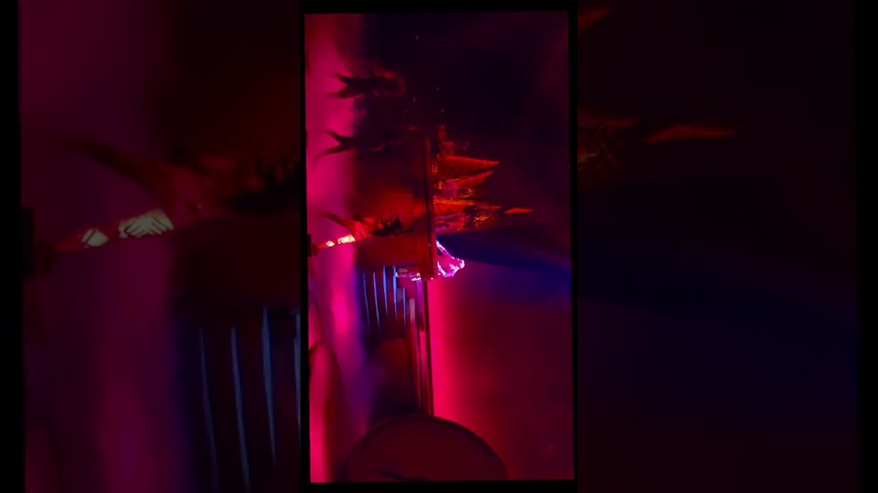 LE SPECTACLE DU ROI LION À DISNEYLAND PARIS 