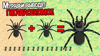 МУРАВЬИ ВЫВОДЯТ ГИГАНАСЕКОМОЕ ( Pocket Ants )