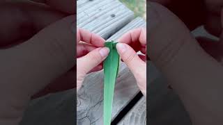 How to Make a Leaf Boat | Easy DIY Nature Craft Tutorial 🍃⛵️