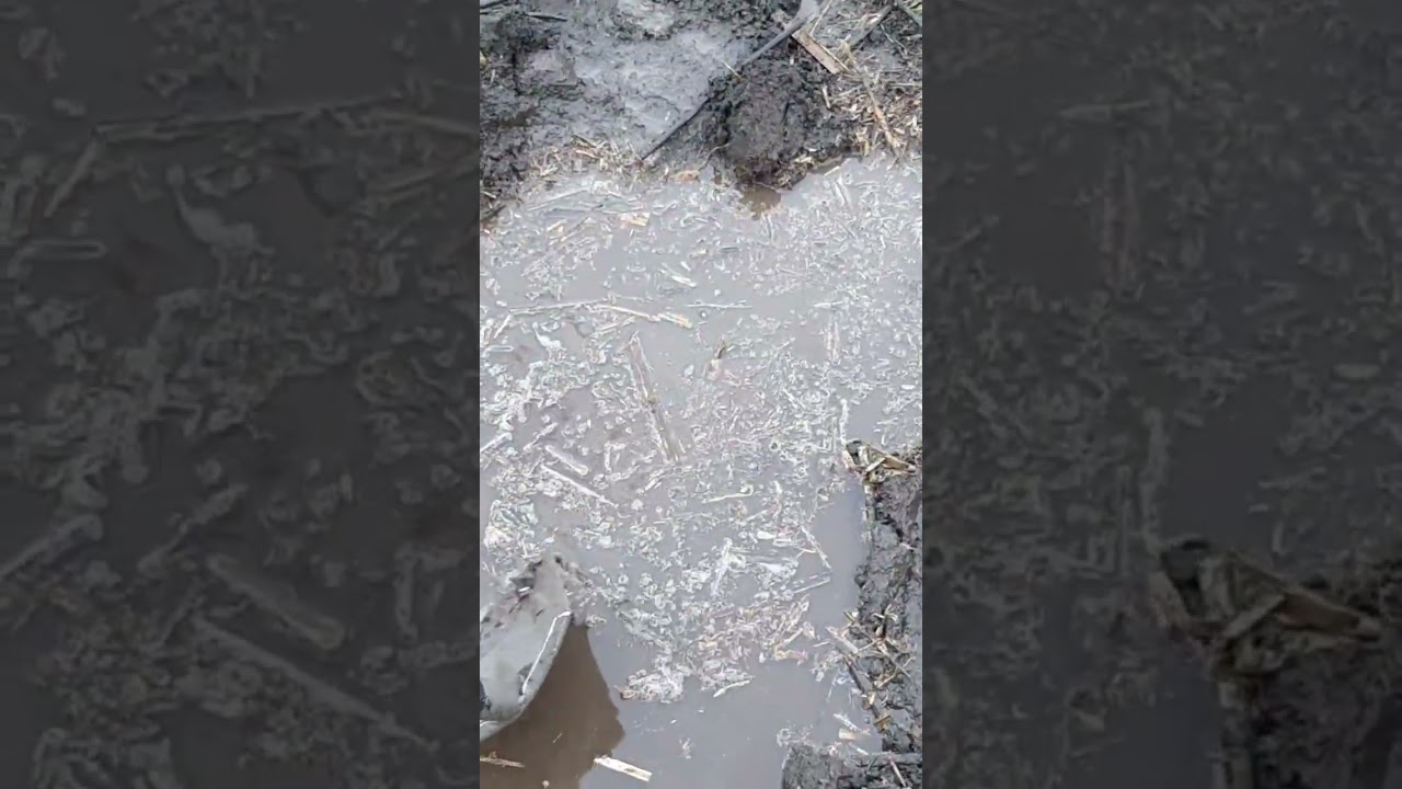 ЧТО ЖЕ ЭТО МОЖЕТ БЫТЬ???ТЯЖОЛАЯ НАХОДКА В БОЛОТЕ