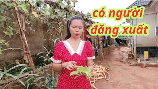 Download Lagu Phút giây bình yên hiếm hoi, tin dzữ từ đội bảo vệ MP3 Download Lagu Phút giây bình yên hiếm hoi, tin dzữ từ đội bảo vệ MP3
